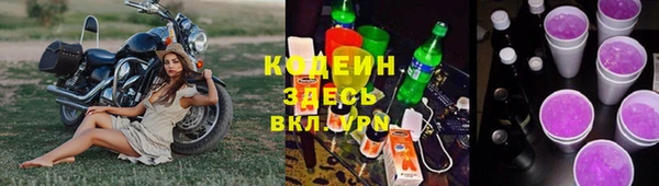 гидра Надым