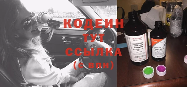гидра Надым