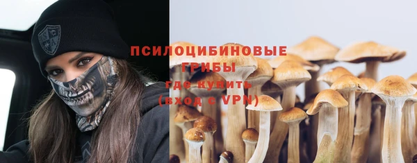 гидра Надым
