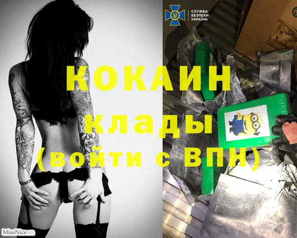 гидра Надым
