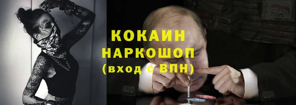 гидра Надым