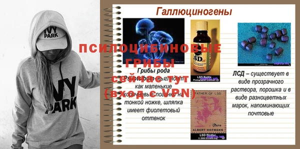 гидра Надым
