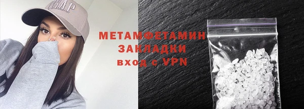 гидра Надым